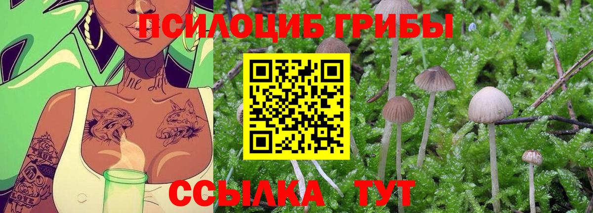 Галлюциногенные грибы Cubensis Белгород